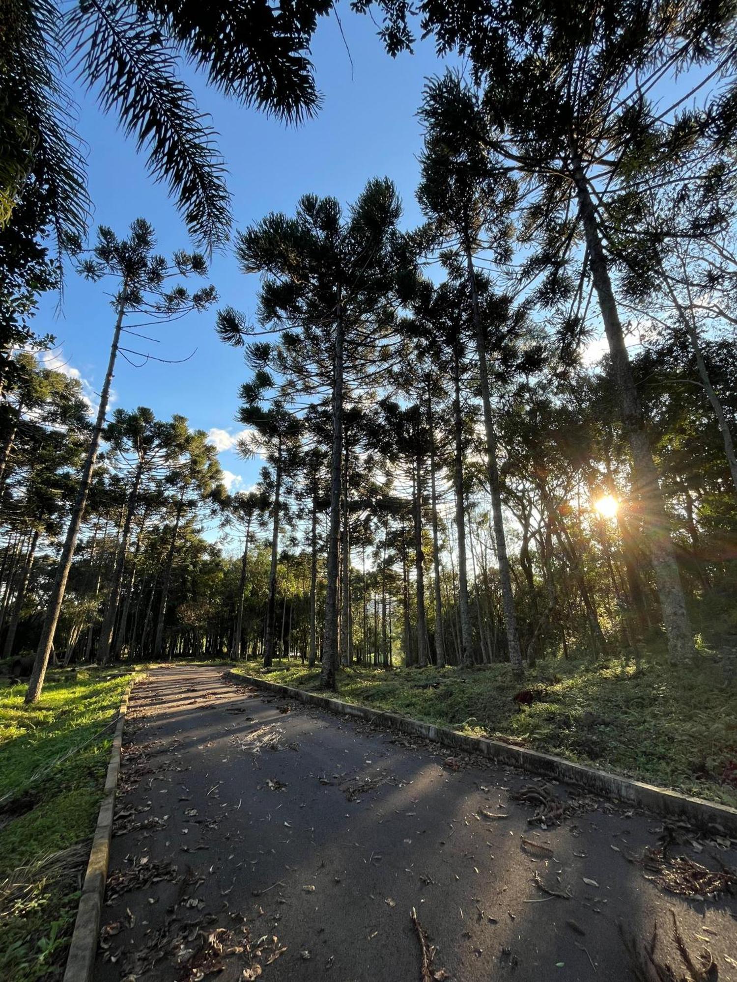 Ville Del Bosco Hotel São Marcos Екстериор снимка